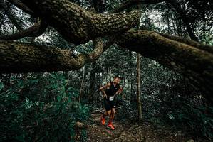 BIB: 
                            <button type="button" onclick="openModal(25707908)" class="btn btn-primary btn-sm float-right btn-popup" data-toggle="modal" data-target=".modal-high-quality">
                        <i class="fas fa-shopping-cart"></i> Add to Cart
                    </button>
                                            <button type="button" onclick="isThisMe(25707908, true)" class="btn btn-success btn-sm float-right btn-popup btn-isme hidden" data-toggle="tooltip" data-placement="bottom" title="นี่คือรูปของคุณใช่ไหม คลิกที่นี่เพื่อเอาเข้าอัลบั้ม">
                        <i class="fas fa-plus"></i> Add to album
                    </button>
                    <button type="button" onclick="isThisMe(25707908, false)" class="btn btn-warning btn-sm float-right btn-popup btn-isnotme hidden">
                        <i class="fas fa-ban"></i> Remove from album
                    </button>